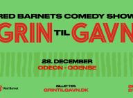grin-til-gavn-grafik_december_2025