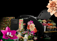 lego-botanicals-le-florist_august_2025
