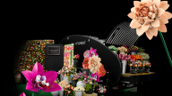 lego-botanicals-le-florist_august_2025