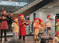 violinborn_december_2024